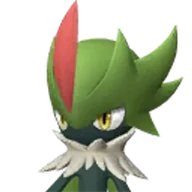 Robinquill